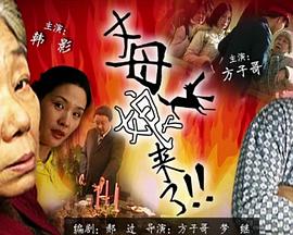 蛮好的人生
